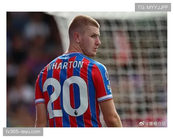 水晶宫新星加盟，阵容实力再升级引球迷期待